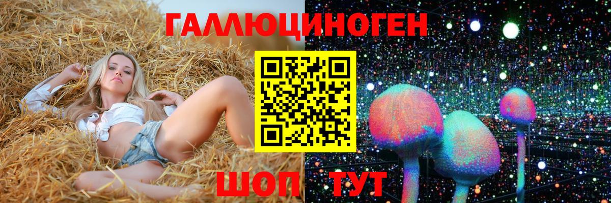 Псилоцибиновые грибы мицелий Нижнекамск