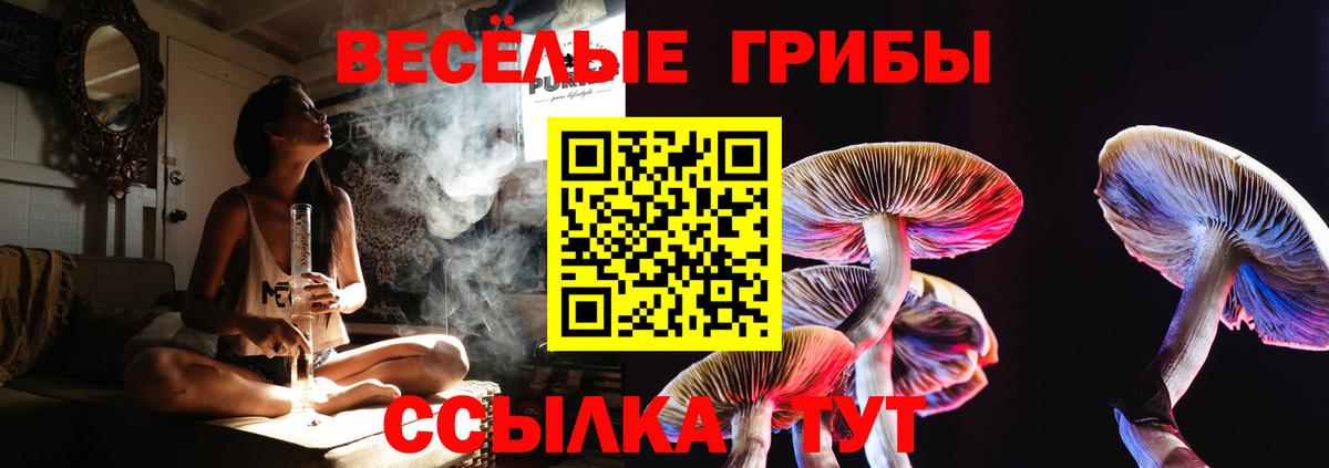 Псилоцибиновые грибы Magic Shrooms  Псилоцибиновые грибы Magic Shrooms  Вход с VPN  Нижнекамск 